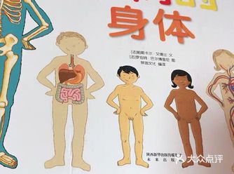 让孩子对自己的身体有正确认识的绘本