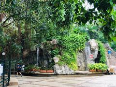 -九龙公园