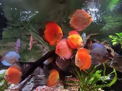 -上海海洋水族馆