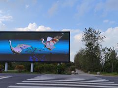 -盐城丹顶鹤湿地生态旅游区