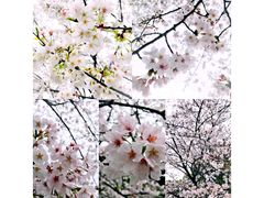 -武汉马哥孛罗酒店