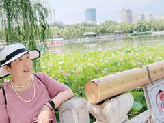 -莲花池公园