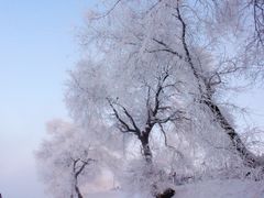 -雾凇岛