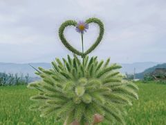 -姚家山旅游风景区