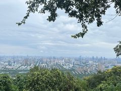 -大蜀山国家森林公园