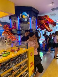 -乐高品牌旗舰店(人民广场店)