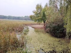 -东郊湿地公园