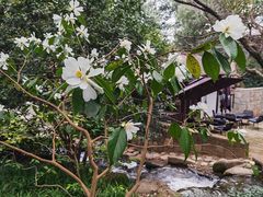 -中国茶叶博物馆(双峰馆区)