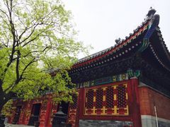 -那家小馆•北京菜•烤鸭(香山店)