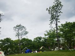 -上海滨江森林公园
