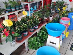 -米兰超市(红桥店)