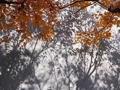 -无锡惠山寺