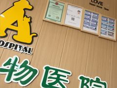 -半岛宠物医院24小时·内窥镜·牙科·碎石中心(府城大道店)