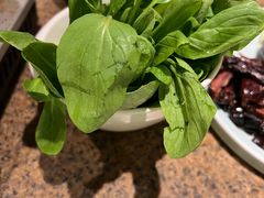 鸡毛菜-绿茶餐厅(coco park 店)