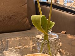 -彩丰楼·中餐厅(国家会展中心上海洲际店)