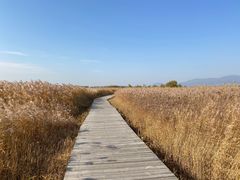 -野鸭湖国家湿地公园