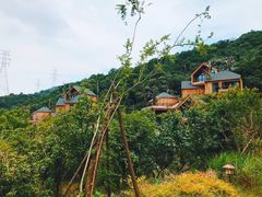 -杭州开元森泊度假乐园