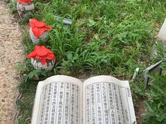 -孔乙己(后海店)