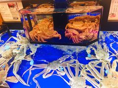 -蟹道乐(道顿堀本店)