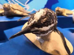 -多彩贵州城极地海洋世界