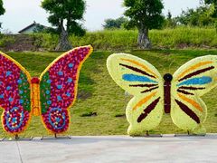 -建华生态湿地百荷园