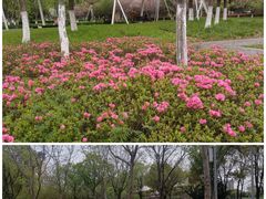 -映月湖中央公园