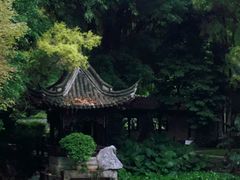 -深圳国际园林花卉博览园