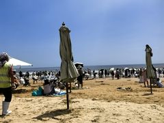 -日照海滨国家森林公园