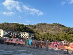 -普陀山风景名胜区-法雨禅寺