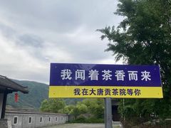 -大唐贡茶院