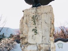 -北京鹫峰国家森林公园