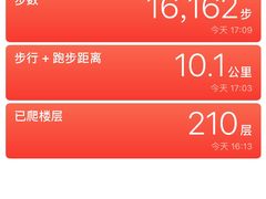 -牛背梁国家森林公园