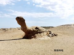 -哈密雅丹大海道景区