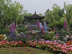 -武汉园博园(武汉自然博物馆)