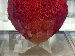 -ROSEONLY诺誓(广州K11店)