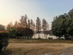 -海珠湖公园