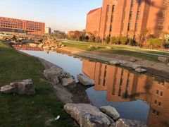 -东北大学(南湖校区)