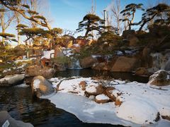 -罗红摄影艺术馆