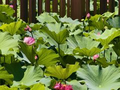 -苏州河梦清园环保主题公园