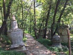 -北京上方山国家森林公园