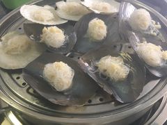 -蚝专家