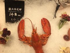 -62° 上清水产(西单君太店)