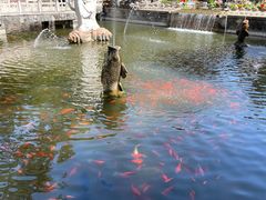-红螺寺