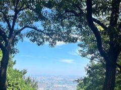-惠山国家森林公园