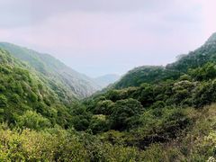 -阳台山自然风景区