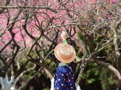 -白塘生态植物园