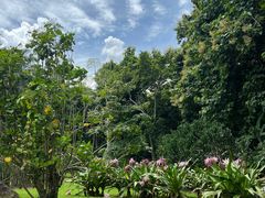 -中国科学院西双版纳热带植物园