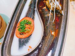 船头退秋鱼-锦府盐帮·侯宅(五棵松万达店)