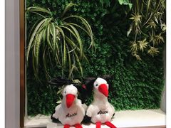 -食武士·舒芙蕾(新街口明瓦廊店)