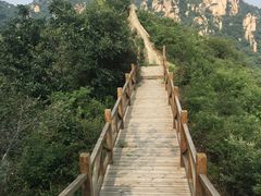 -大岭沟猕猴桃谷风景区